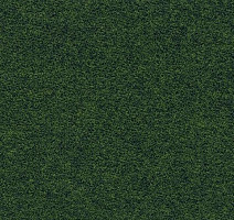 Ковролин Flotex wonderlab 07 900278 Pastoral фото 1 | FLOORDEALER