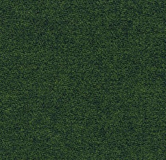 Ковролин Flotex wonderlab 07 900278 Pastoral фото 1 | FLOORDEALER