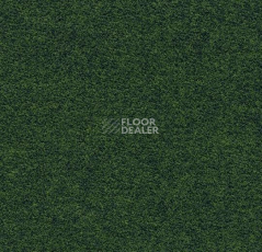 Ковролин Flotex wonderlab 07 900278 Pastoral фото 1 | FLOORDEALER