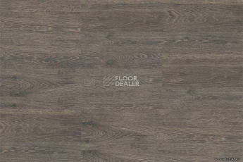 Corkstyle Wood OAK RUSTIC SILVER фото 4 | FLOORDEALER