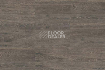 Wood OAK RUSTIC SILVER фото 4 | FLOORDEALER