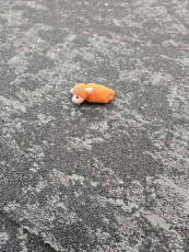 AW Macro 94 фото 3 | FLOORDEALER