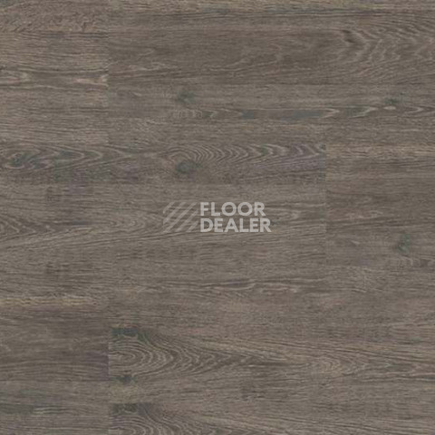 Wood OAK RUSTIC SILVER фото 4 | FLOORDEALER