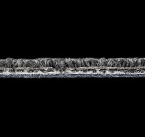 Autumn Woods 601002 фото 4 | FLOORDEALER