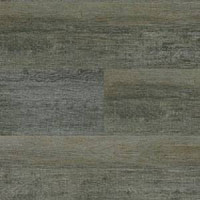 Линолеум Polyflor Expona Wood 6146 фото 1 | FLOORDEALER