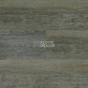 Линолеум Polyflor Expona Wood 6146 фото 1 | FLOORDEALER