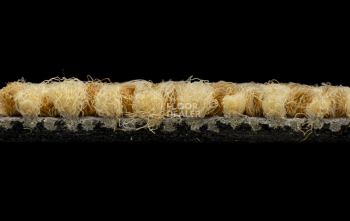 Balsan Stoneage 630 фото 3 | FLOORDEALER