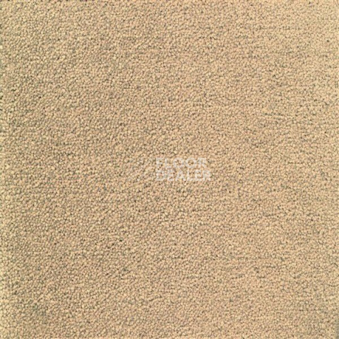 Ковролин Sintelon Eden 09330 фото 1 | FLOORDEALER
