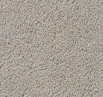 Ковролин Vorwerk Passion 1003 Vorwerk 5v26 фото 1 | FLOORDEALER