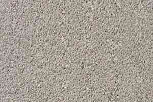 Ковролин Vorwerk Passion 1003 Vorwerk 5v26 фото  | FLOORDEALER