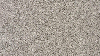 Ковролин Vorwerk Passion 1003 Vorwerk 5v26 фото 1 | FLOORDEALER