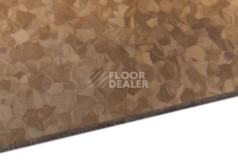 Tarkett iq Melodia 2618 фото 5 | FLOORDEALER