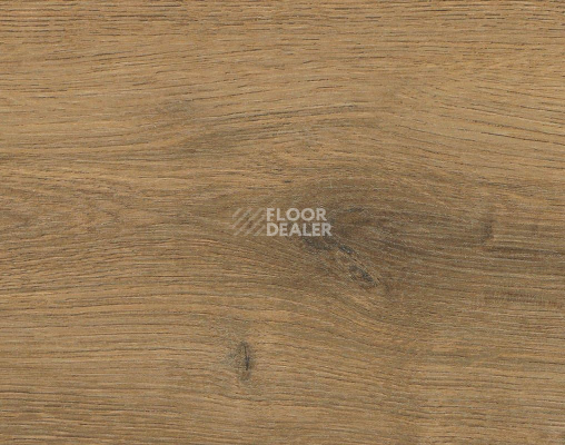 Ламинат Haro Tritty 90 Дуб Бари Натур 544681 фото 1 | FLOORDEALER