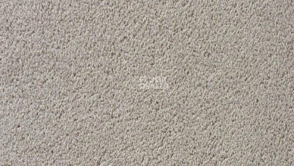 Ковролин Vorwerk Passion 1003 Vorwerk 5v26 фото 1 | FLOORDEALER