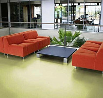 Taralay Premium Indiana