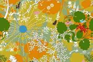 Ковролин Halbmond Step by Step 2 27600 фото  | FLOORDEALER