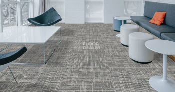 Casini Casini 571 фото 2 | FLOORDEALER