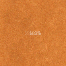 Линолеум Gerflor Marmorette PUR 125-174 фото 1 | FLOORDEALER