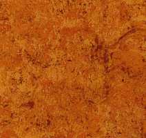 Линолеум Tarkett Acczent Mistral 200008 фото 1 | FLOORDEALER