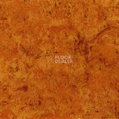 Линолеум Tarkett Acczent Mistral 200008 фото 1 | FLOORDEALER