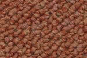 Ковролин Dura Loop 341 фото  | FLOORDEALER