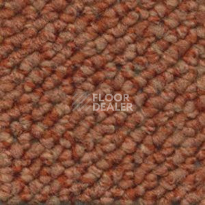 Ковролин Dura Loop 341 фото 1 | FLOORDEALER