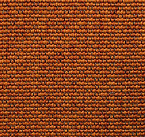 Ковролин Carpet Concept Eco Iqu 8262 фото 1 | FLOORDEALER