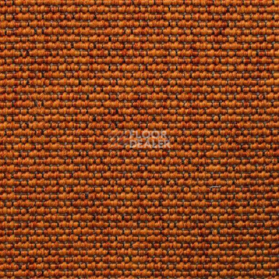 Ковролин Carpet Concept Eco Iqu 8262 фото 1 | FLOORDEALER