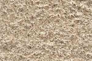 Ковролин AW Harlem 30 фото  | FLOORDEALER