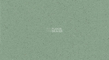 Линолеум Tarasafe Standard 7508_Avocado фото 1 | FLOORDEALER