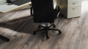 Kronotex Mammut Plus d4792 Дуб Серый Макро фото 9 | FLOORDEALER