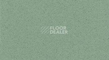 Линолеум Gerflor Tarasafe Standard 7508_Avocado фото 1 | FLOORDEALER