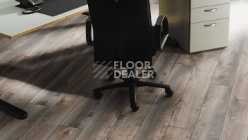Kronotex Mammut Plus d4792 Дуб Серый Макро фото 9 | FLOORDEALER