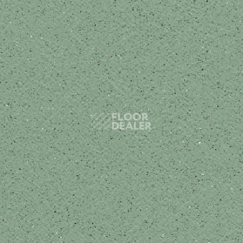 Линолеум Gerflor Tarasafe Standard 7508_Avocado фото 1 | FLOORDEALER