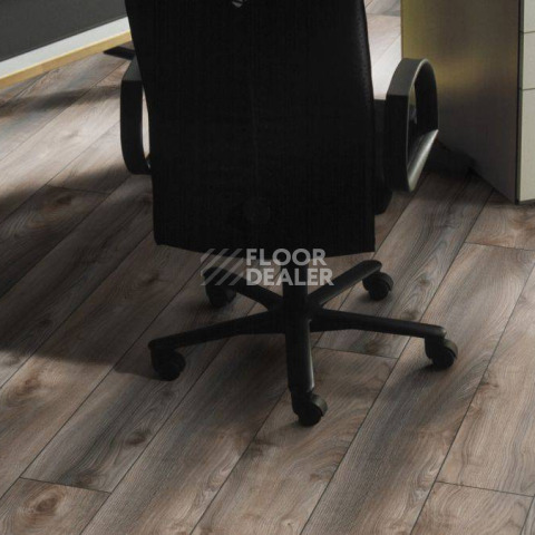 Kronotex Mammut Plus d4792 Дуб Серый Макро фото 9 | FLOORDEALER