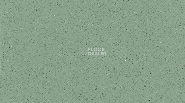 Линолеум Tarasafe Standard 7508_Avocado фото 1 | FLOORDEALER