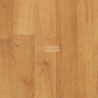 Линолеум Juteks Brilliant Marron 3040 фото 1 | FLOORDEALER