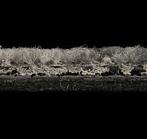 Balsan Genius Balsan Genius 960 фото 8 | FLOORDEALER