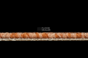 Balsan Centaure Deco 448 фото 3 | FLOORDEALER