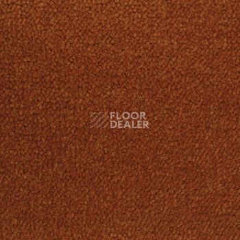 Ковролин Associated Weavers Continental 84 фото 1 | FLOORDEALER