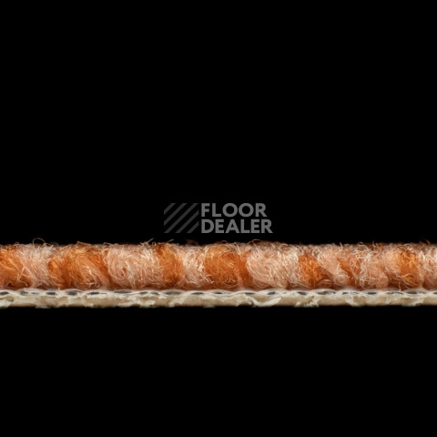 Balsan Centaure Deco 448 фото 3 | FLOORDEALER