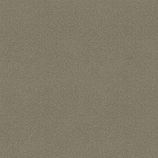 Ковровая плитка Tessera basis pro 4206 Olea фото 1 | FLOORDEALER