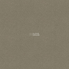 Tessera basis pro 4206 Olea фото 1 | FLOORDEALER