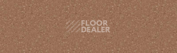 Линолеум Tarkett Tempo Plus 1005 фото 1 | FLOORDEALER