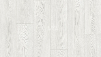 Линолеум Tarkett Club EVORA 1 фото 1 | FLOORDEALER