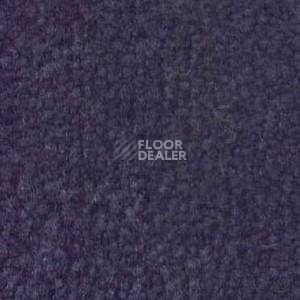 Ковролин Shaw Bradberry 30 696 фото 1 | FLOORDEALER