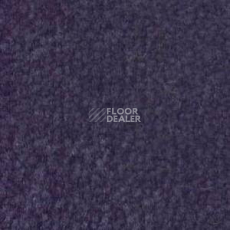 Ковролин Shaw Bradberry 30 696 фото 1 | FLOORDEALER