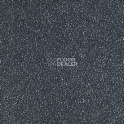Ковролин Balsan Equinoxe 957 фото 1 | FLOORDEALER