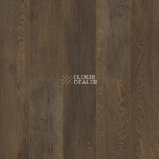 Кварцвиниловые полы Alpine Floor Easy Line 3мм Дуб Гоен ЕСО3-45 фото 1 | FLOORDEALER