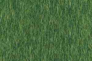 Ковровая плитка Desso Lita Desso Lita 7111 фото  | FLOORDEALER